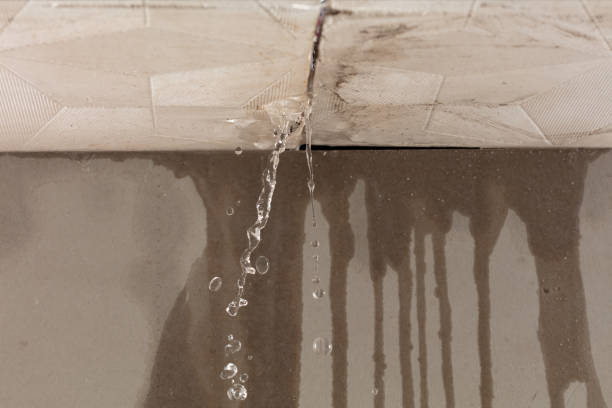 Professional Water Damage Repair technician working in Lincroft, NJ
